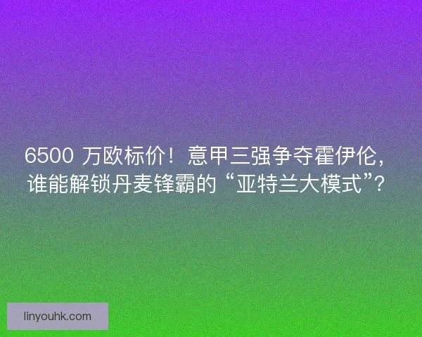 6500 万欧标价！意甲三强争夺霍伊伦，谁能解锁丹麦锋霸的 “亚特兰大模式”？